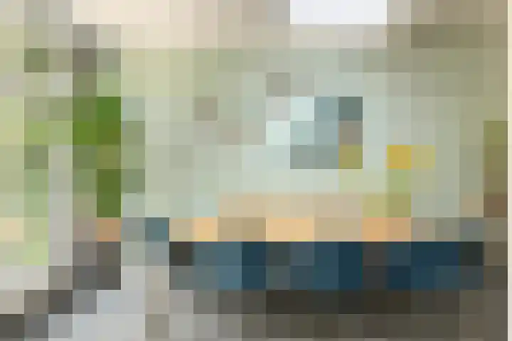 Zeelsterstraat 82 D Eindhoven thumbnail 20