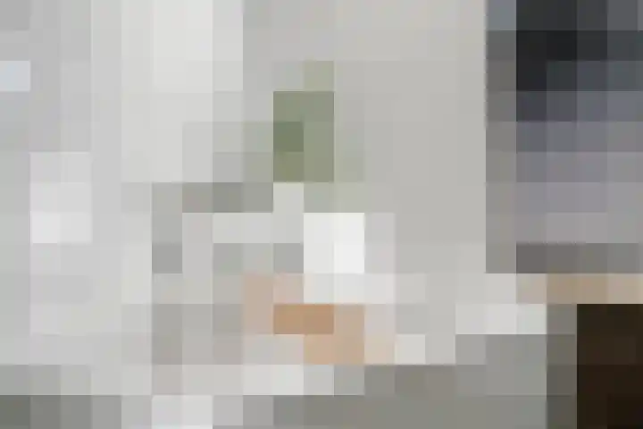 Zeelsterstraat 82 D Eindhoven thumbnail 27