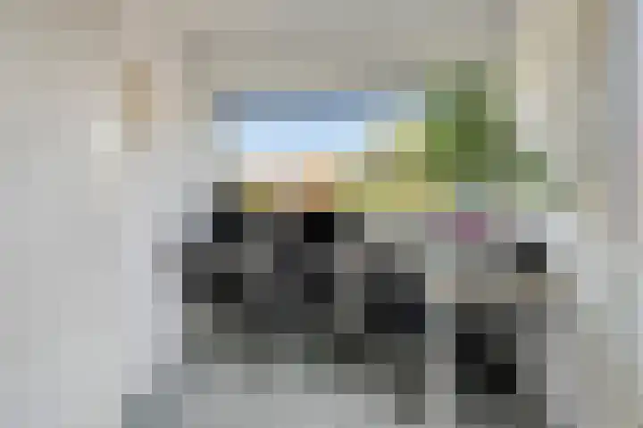 Zeelsterstraat 82 D Eindhoven thumbnail 30