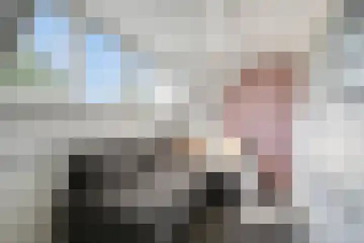 Zeelsterstraat 82 D Eindhoven thumbnail 31