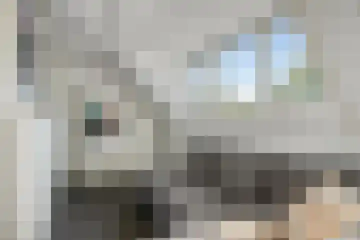 Zeelsterstraat 82 D Eindhoven thumbnail 32