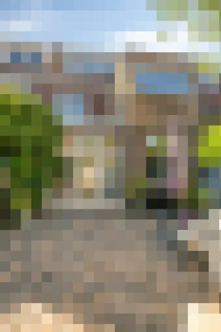 Zeelsterstraat 82 D Eindhoven thumbnail 39