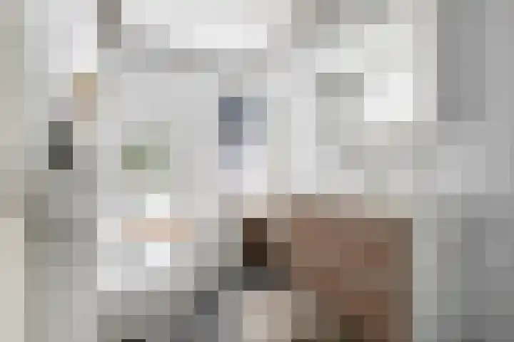 Zeelsterstraat 82 D Eindhoven thumbnail 4