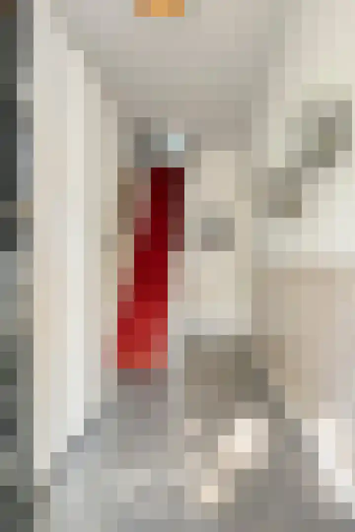 Zeelsterstraat 82 D Eindhoven thumbnail 9