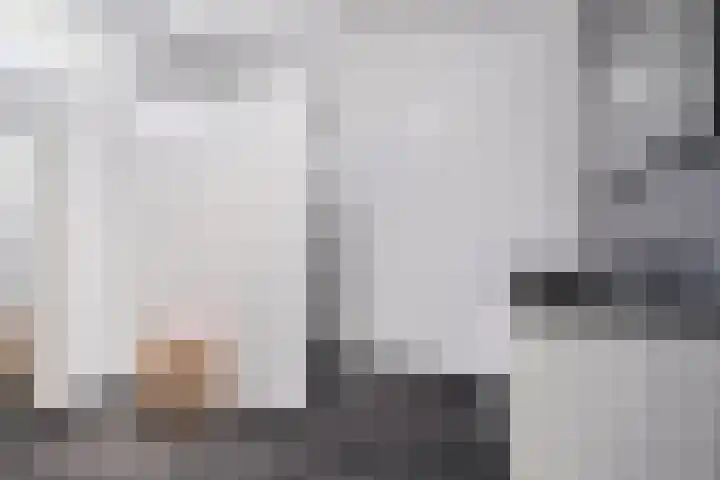 Zeelsterstraat 83 Eindhoven thumbnail 17