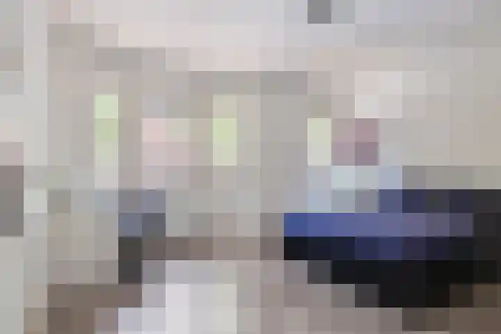 Zeelsterstraat 83 Eindhoven thumbnail 22