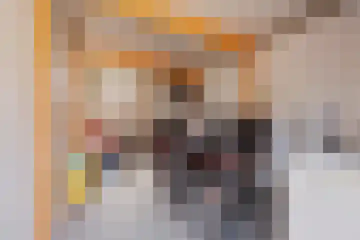 Zeelsterstraat 83 Eindhoven thumbnail 33