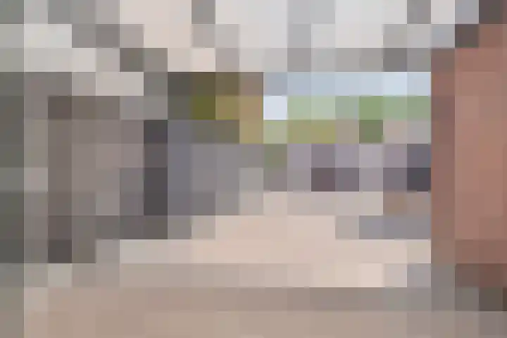 Zeelsterstraat 83 Eindhoven thumbnail 34