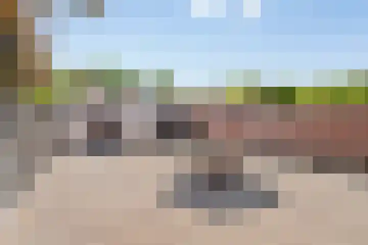 Zeelsterstraat 83 Eindhoven thumbnail 35