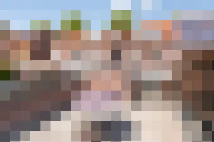Zeelsterstraat 83 Eindhoven thumbnail 37