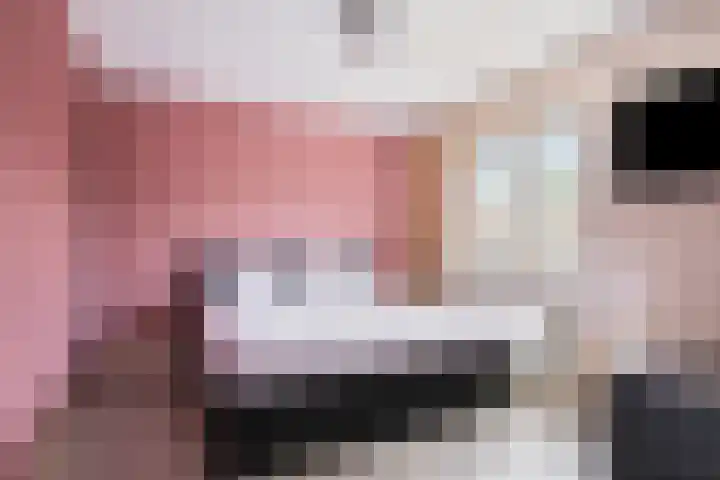 Zeelsterstraat 83 Eindhoven thumbnail 4