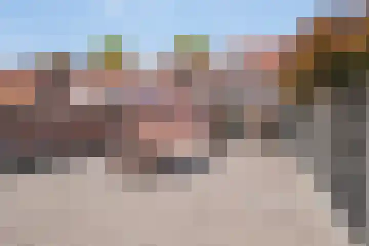 Zeelsterstraat 83 Eindhoven thumbnail 6