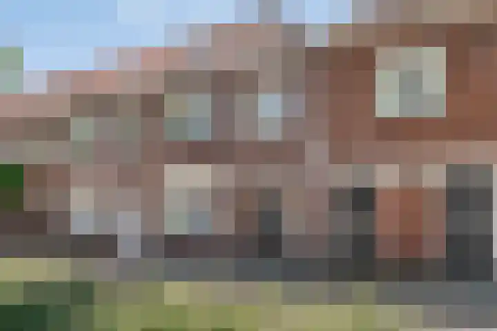 Zeelsterstraat 83 Eindhoven thumbnail 7