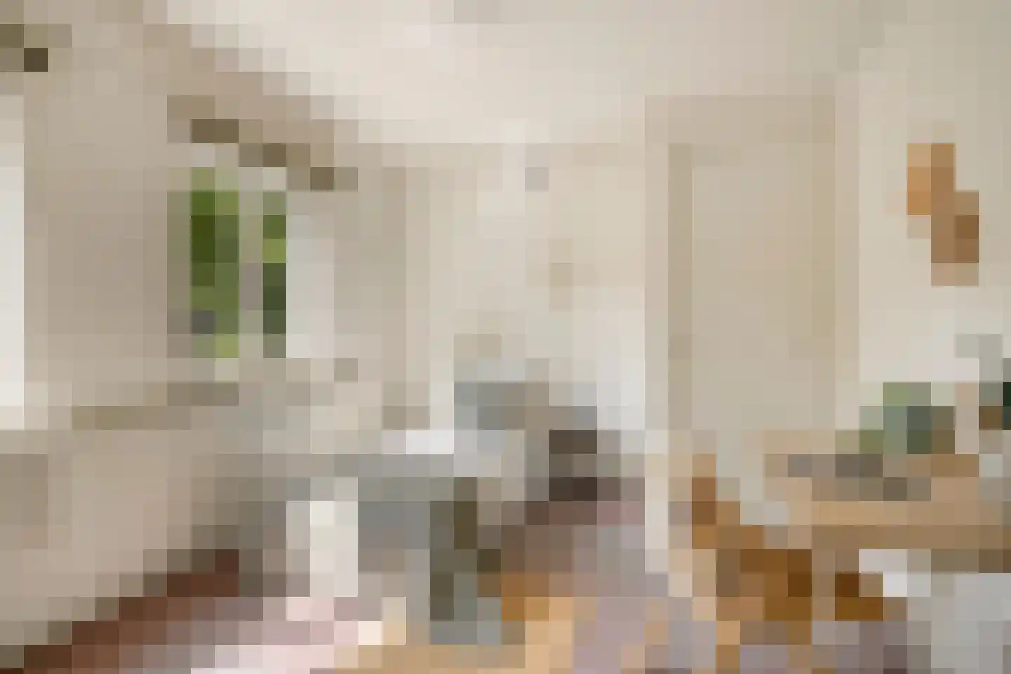 Zeelsterstraat 90 Eindhoven thumbnail 15