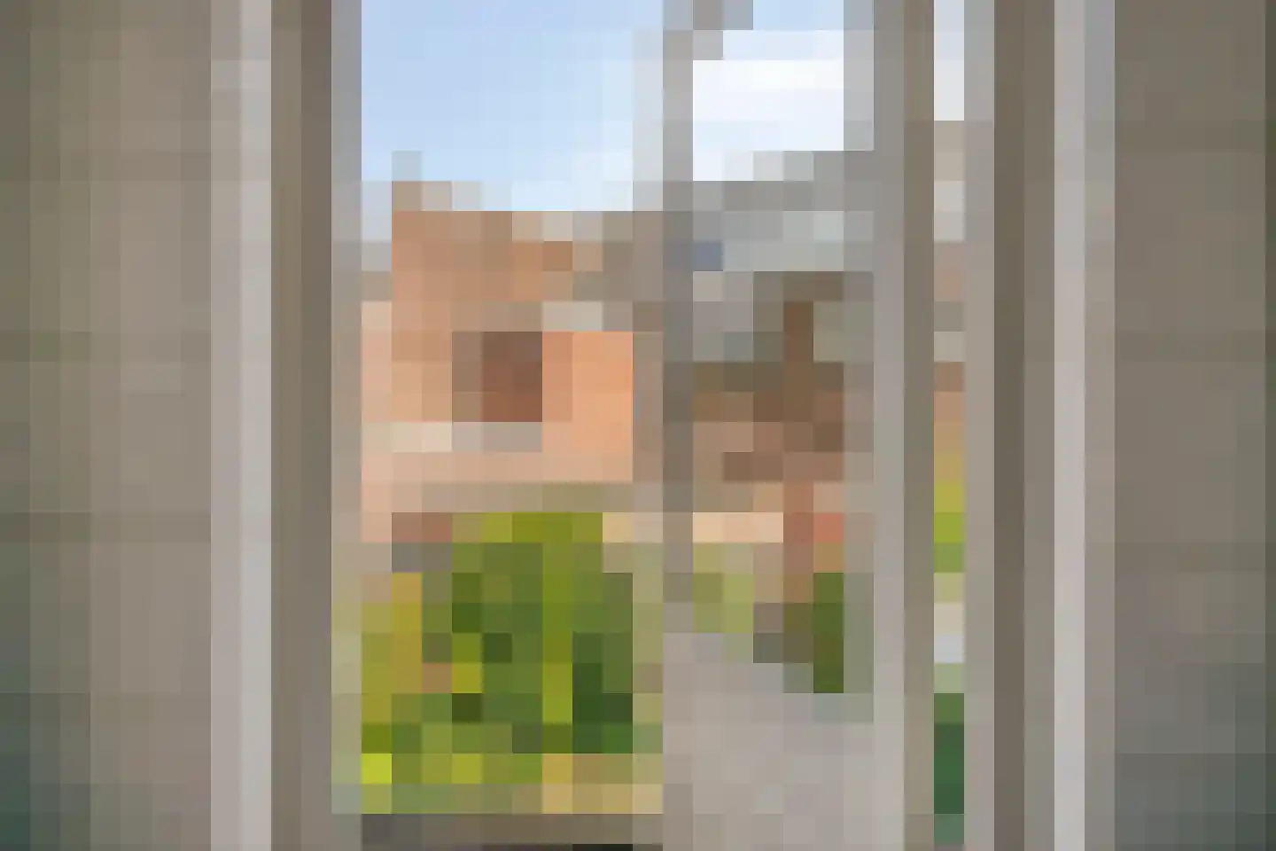 Zeelsterstraat 90 Eindhoven thumbnail 17