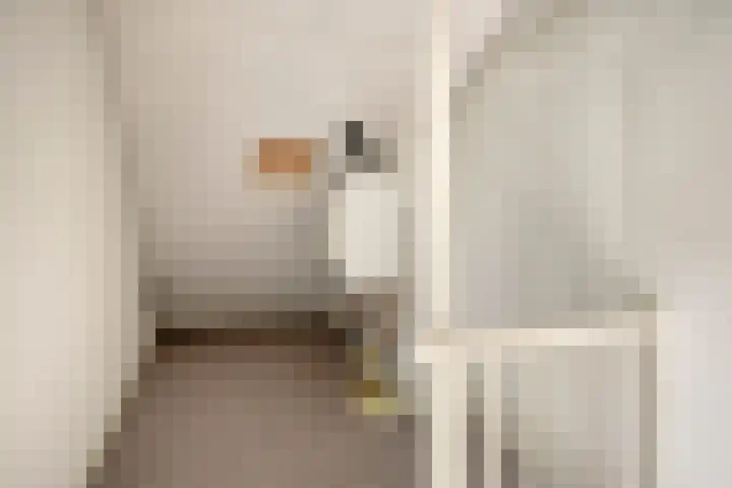 Zeelsterstraat 90 Eindhoven thumbnail 19