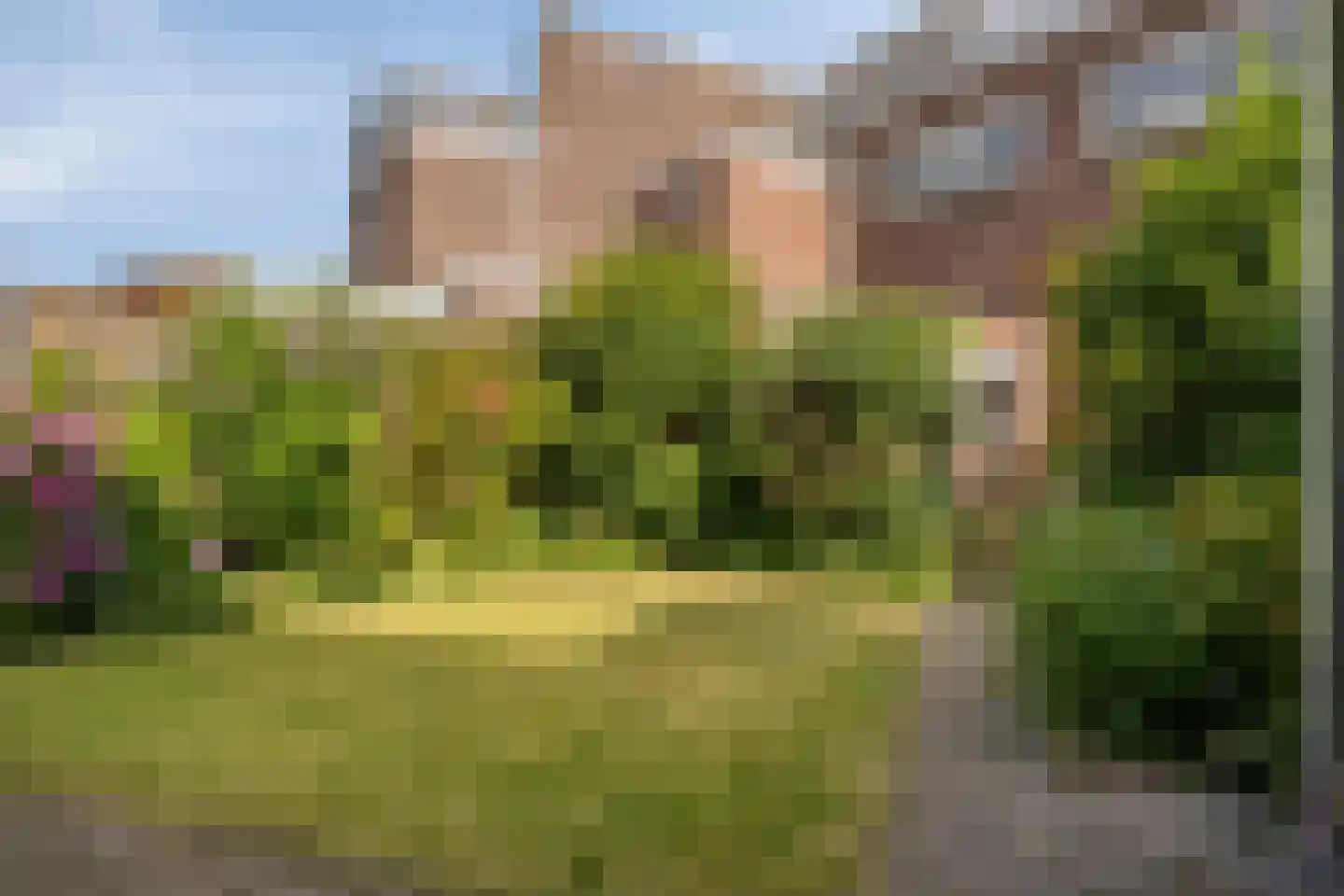 Zeelsterstraat 90 Eindhoven thumbnail 4