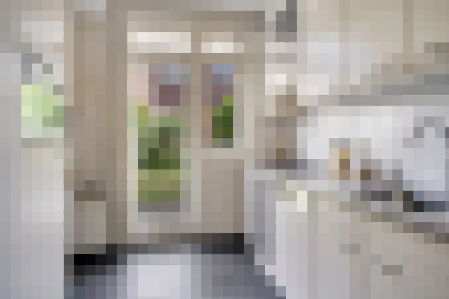 Zeelsterstraat 90 Eindhoven thumbnail 9
