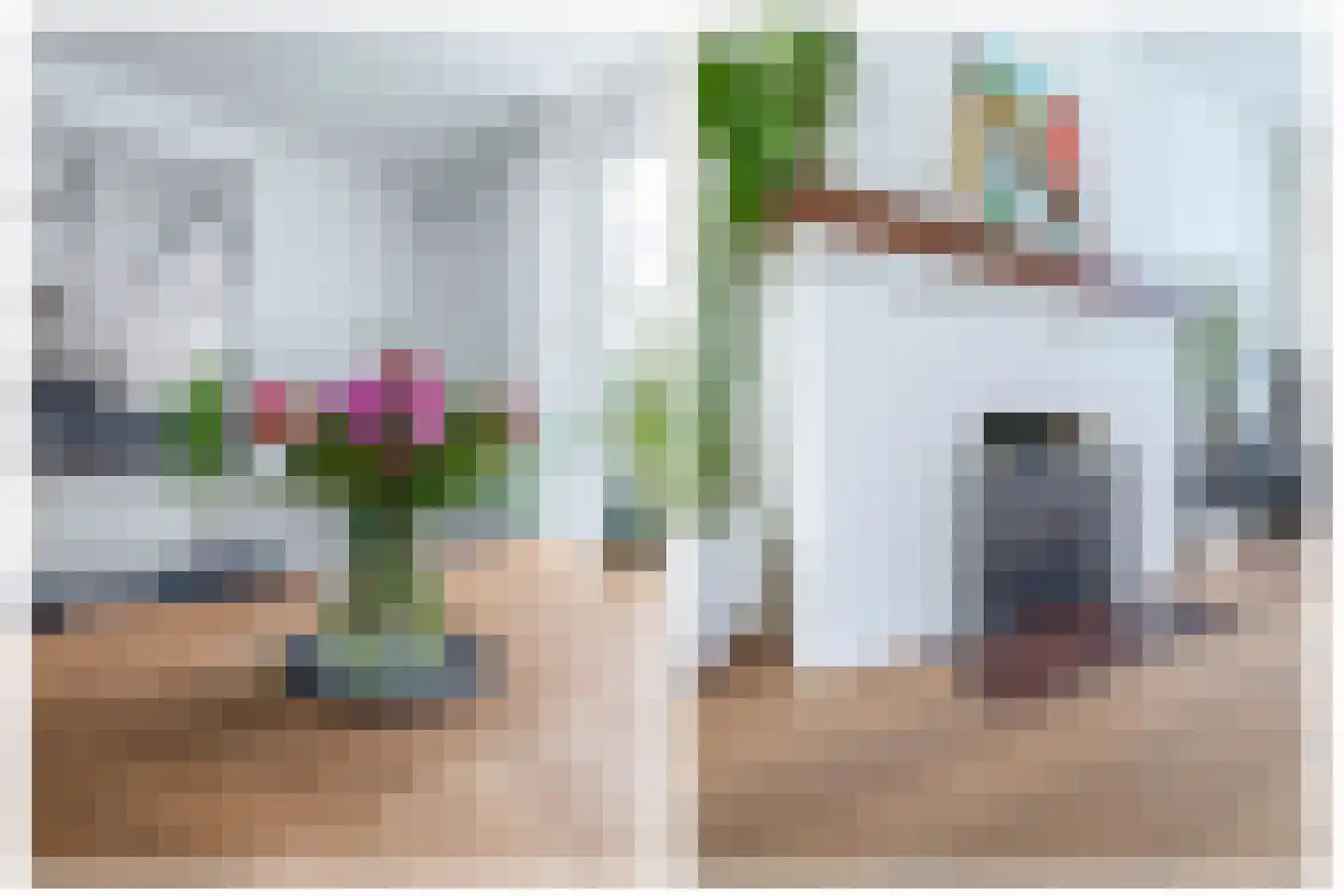 Zeelsterstraat 91 Eindhoven thumbnail 16