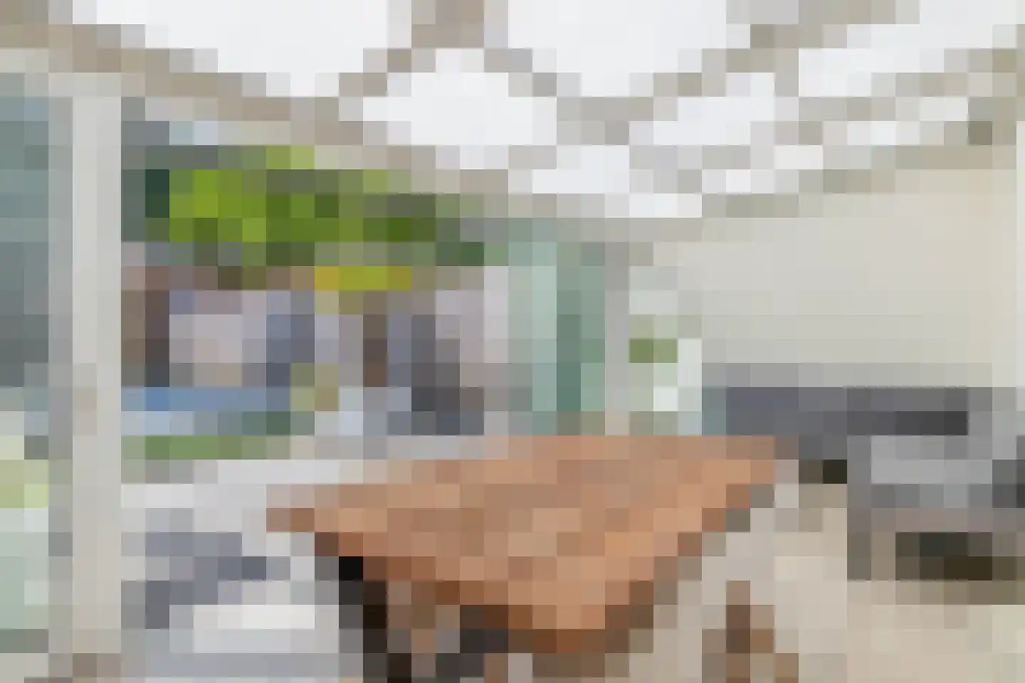 Zeelsterstraat 91 Eindhoven thumbnail 18