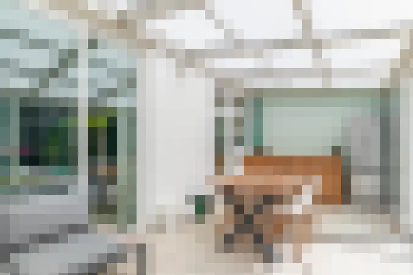 Zeelsterstraat 91 Eindhoven thumbnail 19