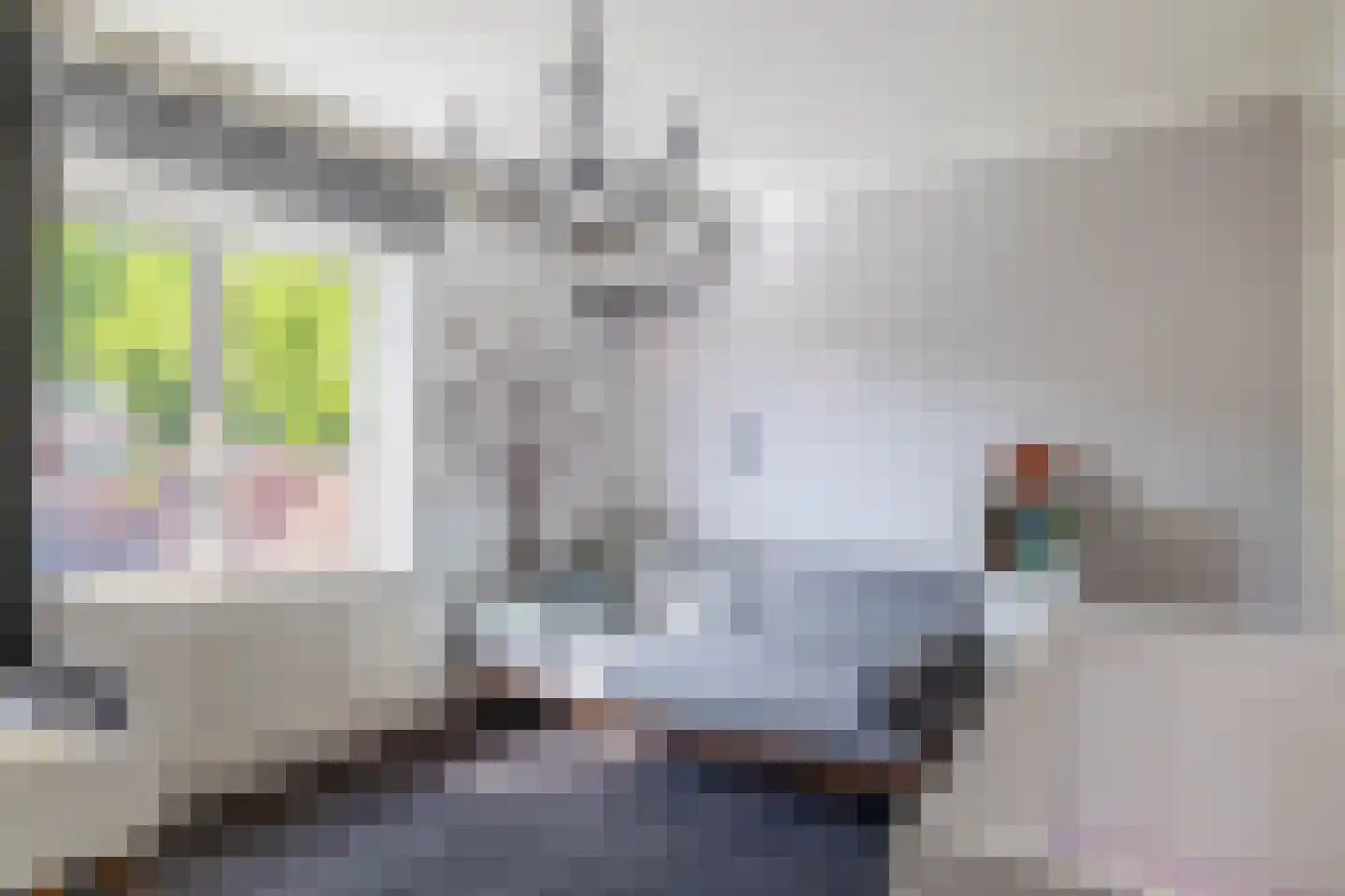 Zeelsterstraat 91 Eindhoven thumbnail 23