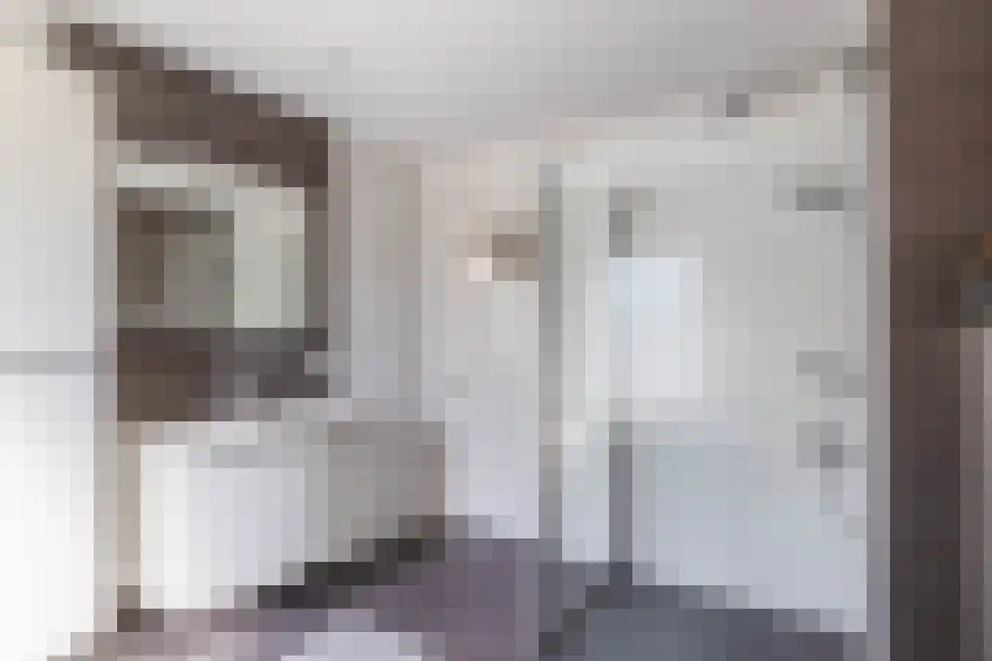 Zeelsterstraat 91 Eindhoven thumbnail 25