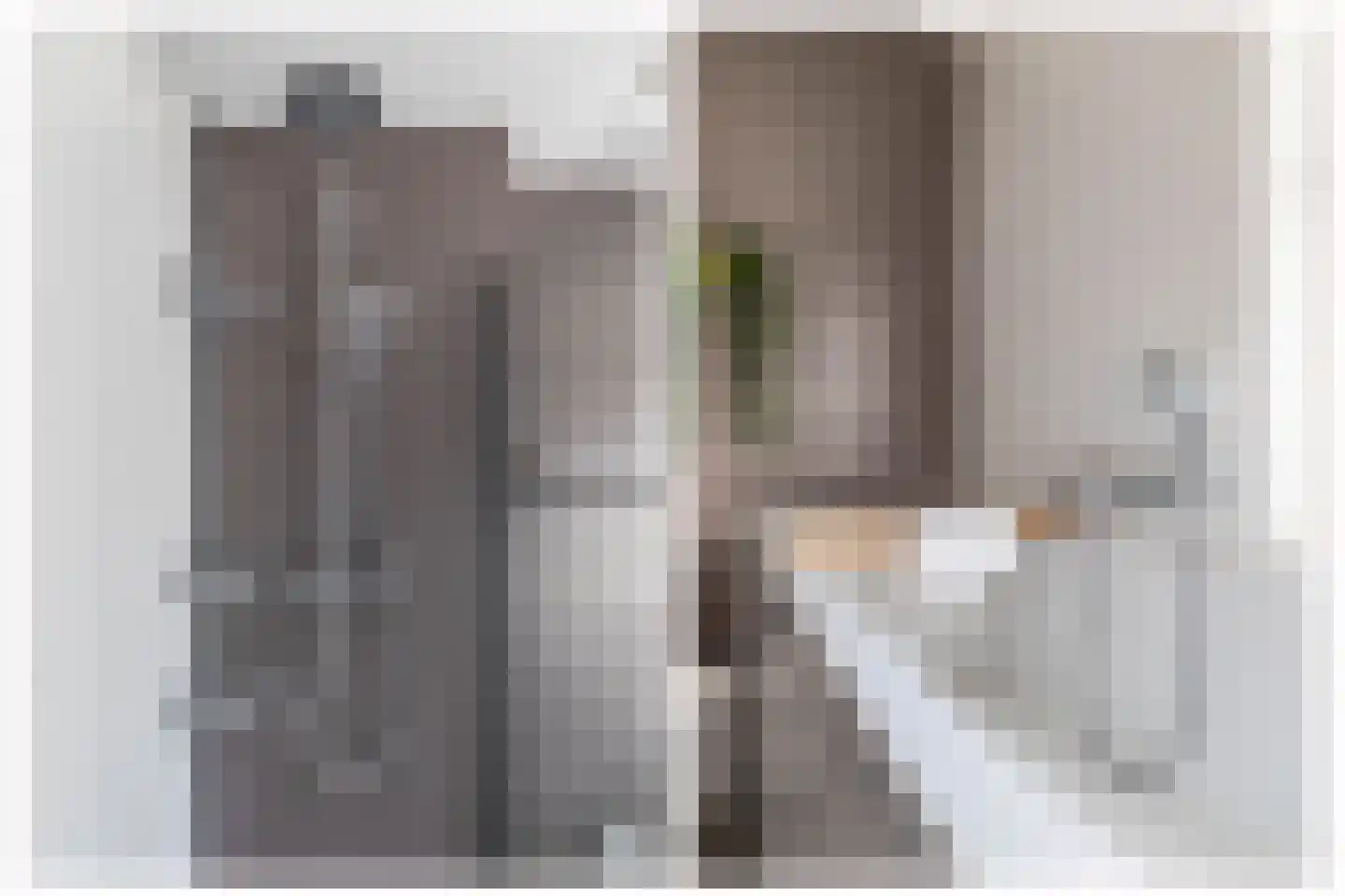 Zeelsterstraat 91 Eindhoven thumbnail 26