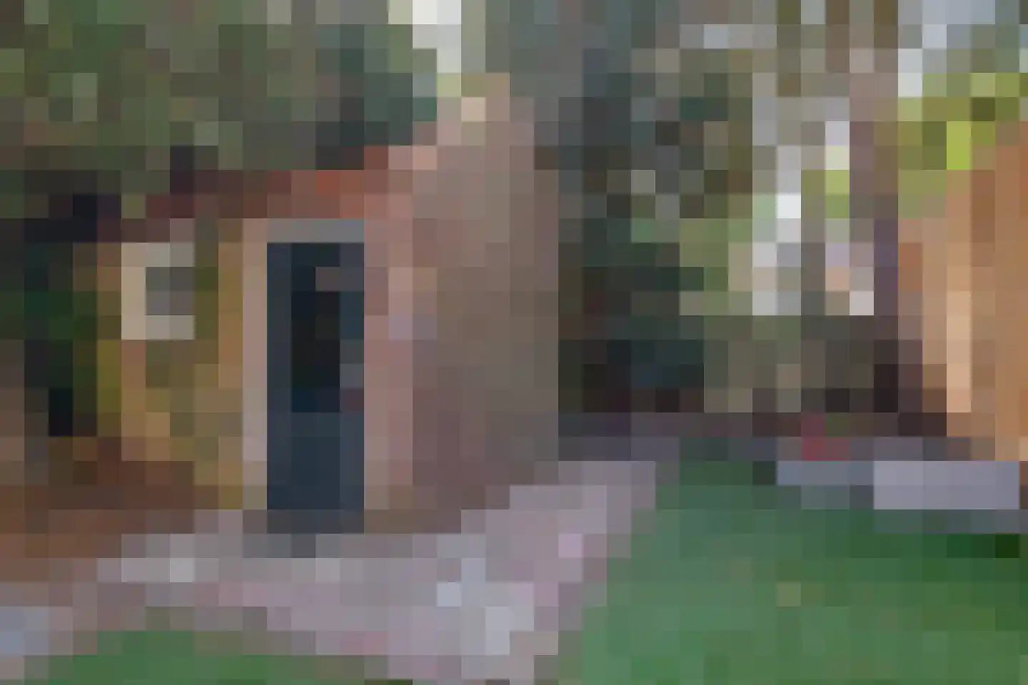 Zeelsterstraat 91 Eindhoven thumbnail 32