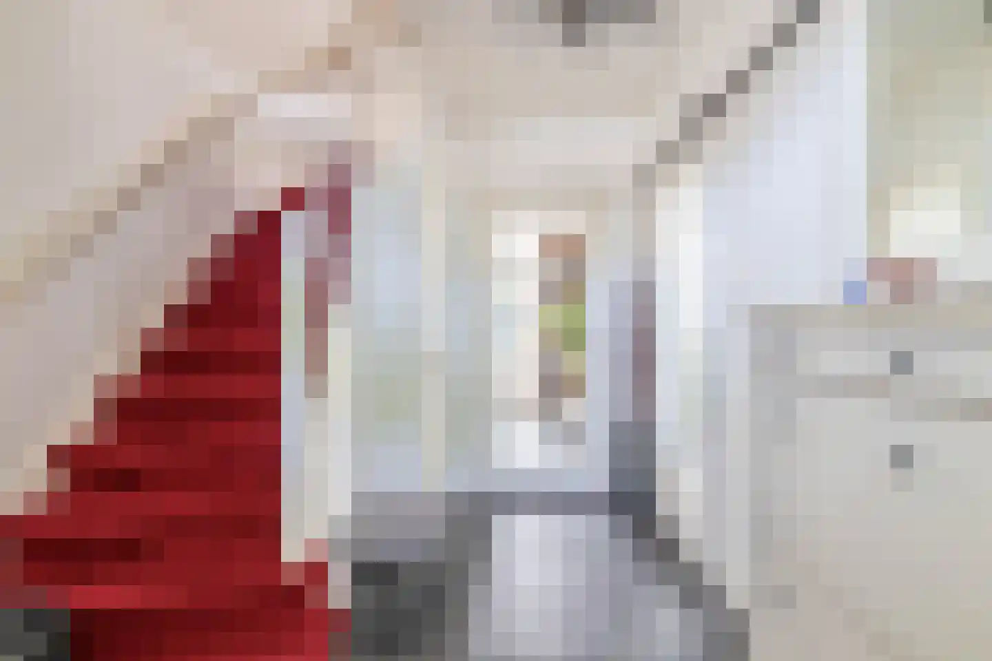 Zeelsterstraat 91 Eindhoven thumbnail 6