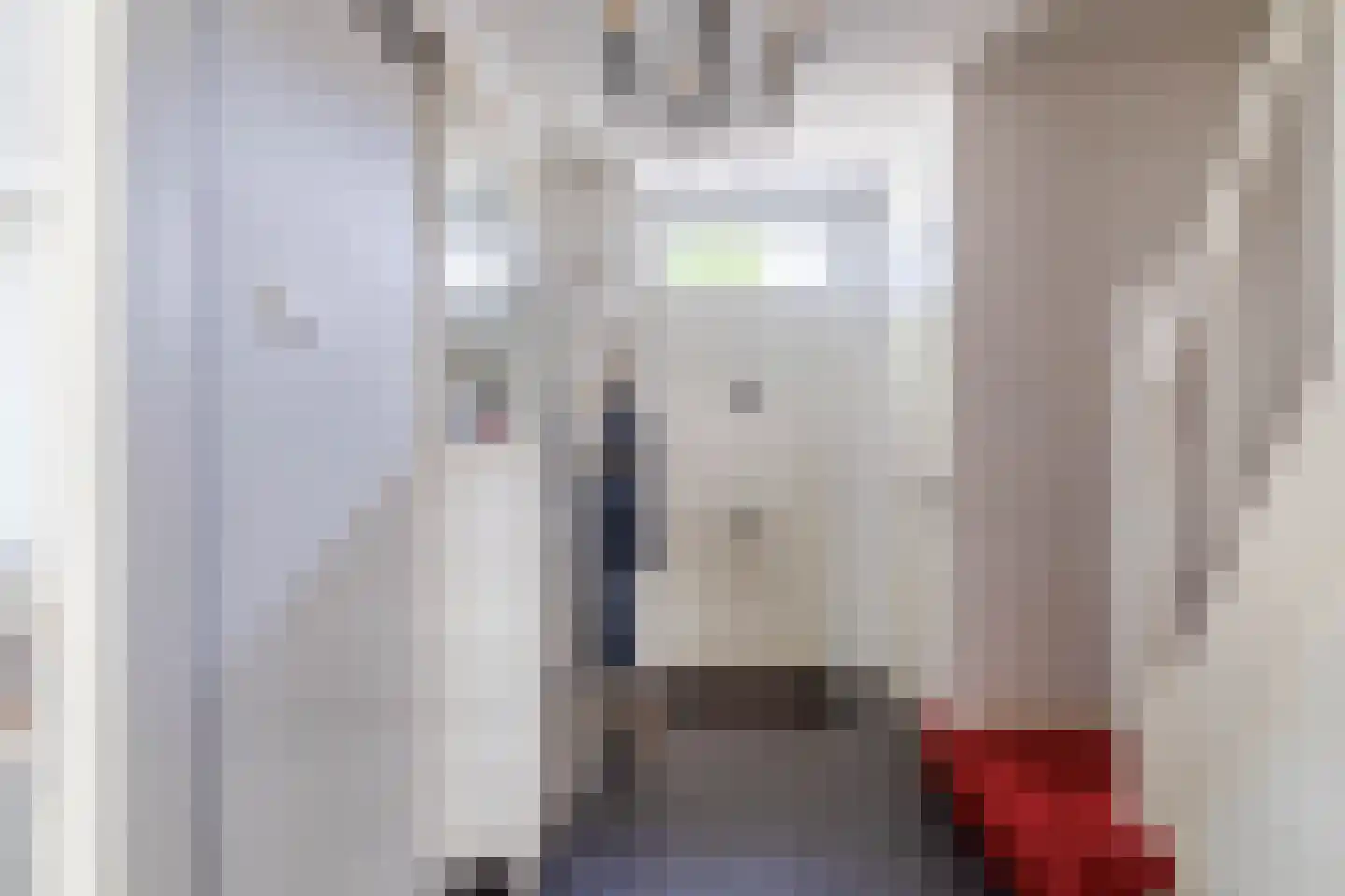Zeelsterstraat 91 Eindhoven thumbnail 7
