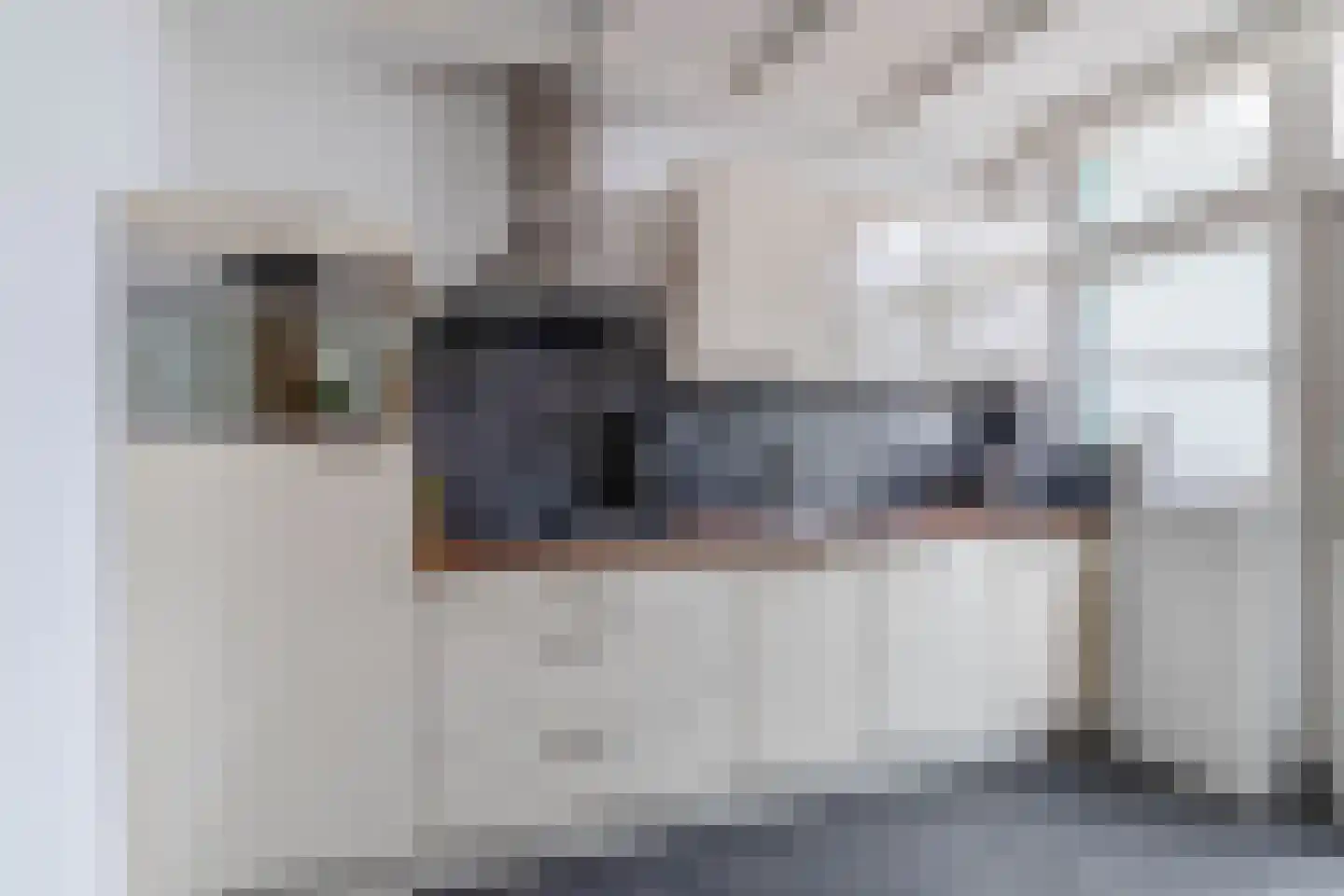 Zeelsterstraat 91 Eindhoven thumbnail 9