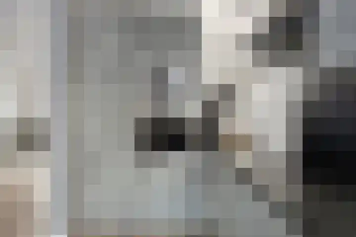 Zeelsterstraat 92 Eindhoven thumbnail 10