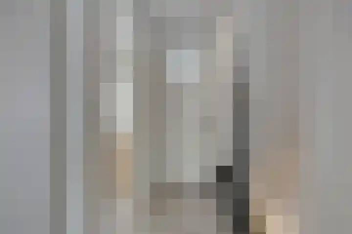 Zeelsterstraat 92 Eindhoven thumbnail 13