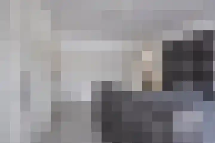 Zeelsterstraat 92 Eindhoven thumbnail 15