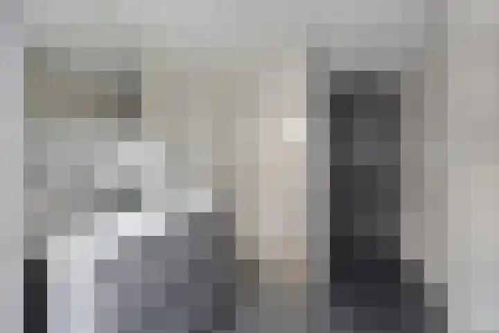 Zeelsterstraat 92 Eindhoven thumbnail 17
