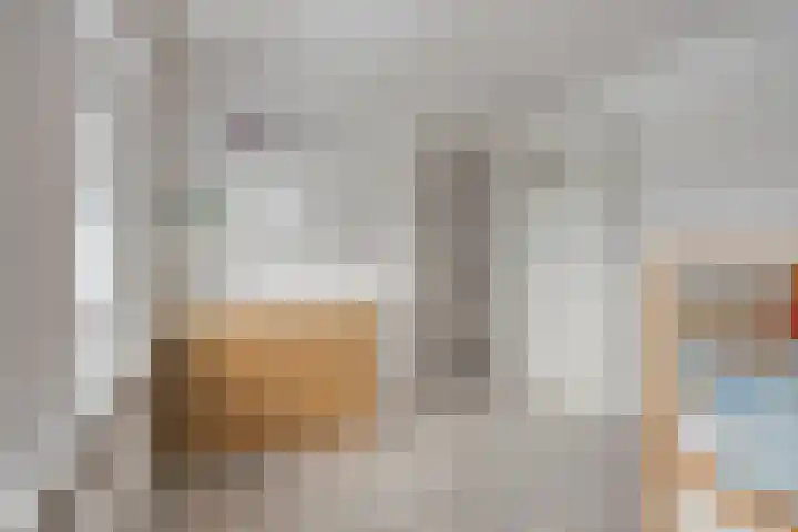 Zeelsterstraat 92 Eindhoven thumbnail 21