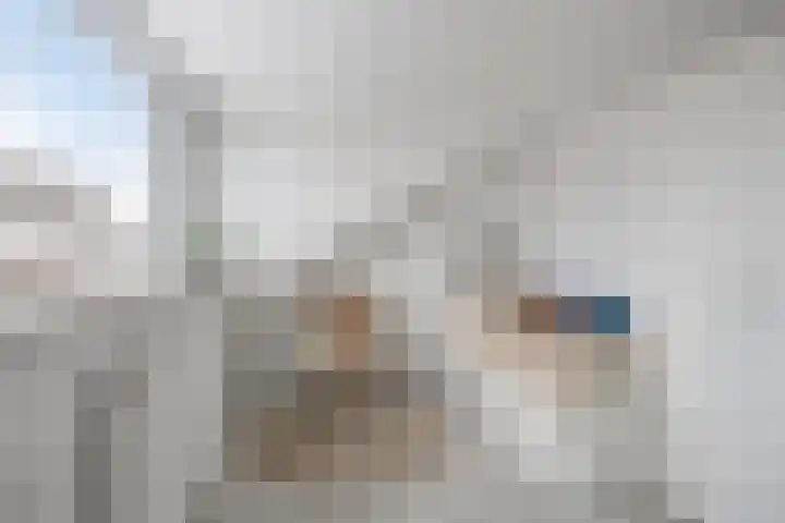 Zeelsterstraat 92 Eindhoven thumbnail 24