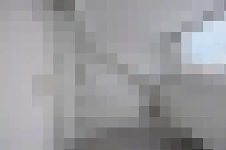 Zeelsterstraat 92 Eindhoven thumbnail 27