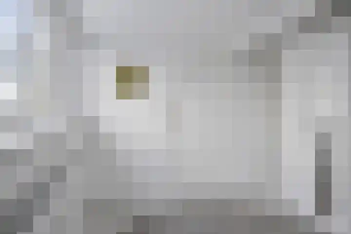 Zeelsterstraat 92 Eindhoven thumbnail 28
