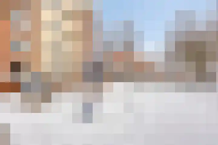 Zeelsterstraat 92 Eindhoven thumbnail 36
