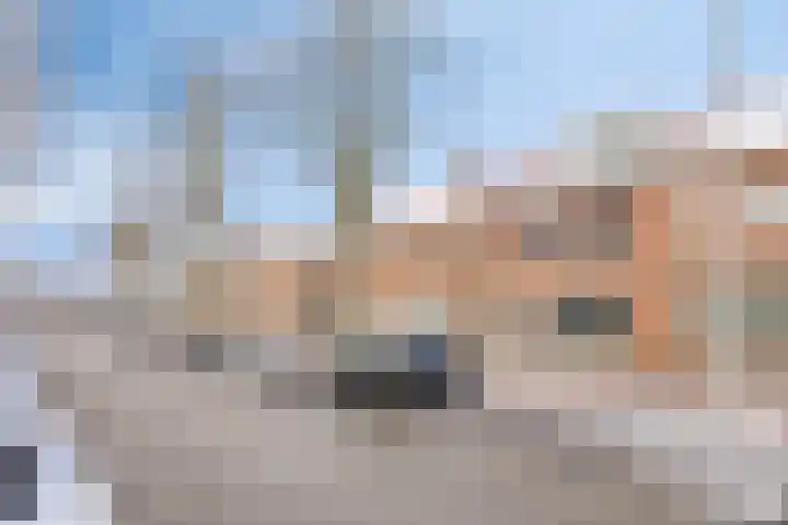 Zeelsterstraat 92 Eindhoven thumbnail 40