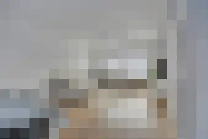 Zeelsterstraat 92 Eindhoven thumbnail 5