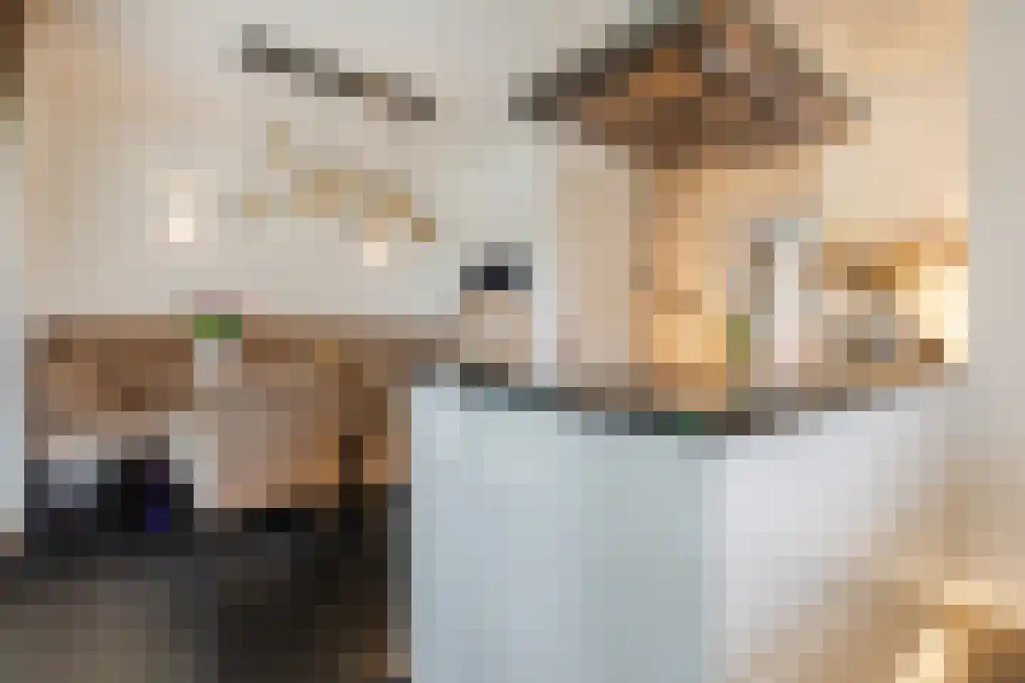Zeelststraat 15 Tilburg thumbnail 10