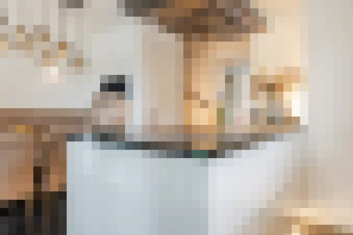 Zeelststraat 15 Tilburg thumbnail 12