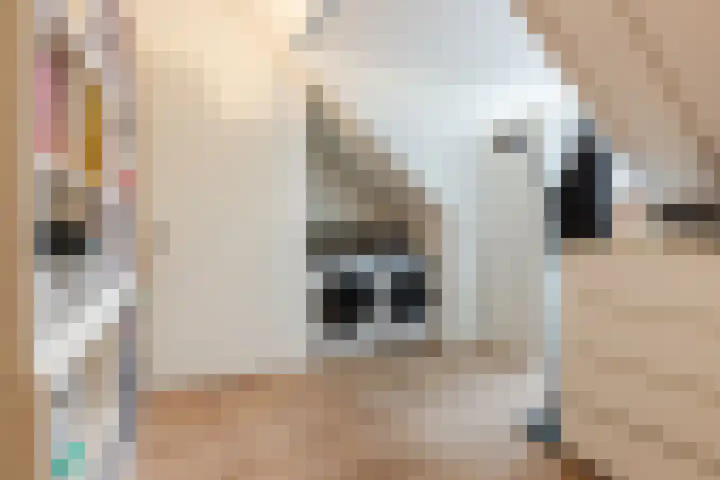 Zeelststraat 15 Tilburg thumbnail 30