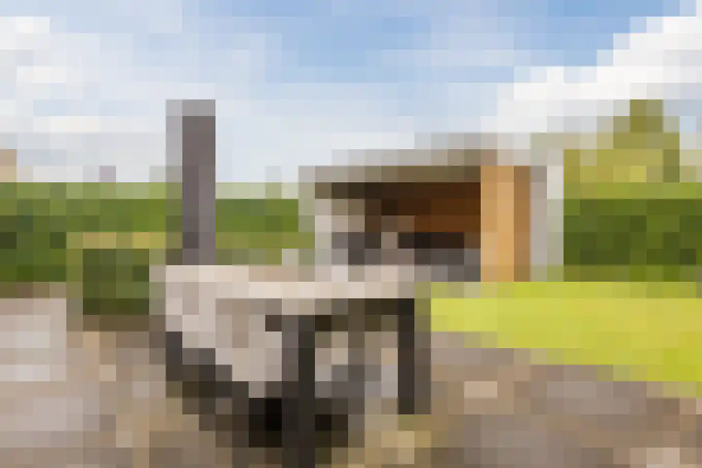 Zeelststraat 15 Tilburg thumbnail 33