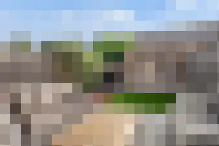Zeelststraat 8 Tilburg thumbnail 32