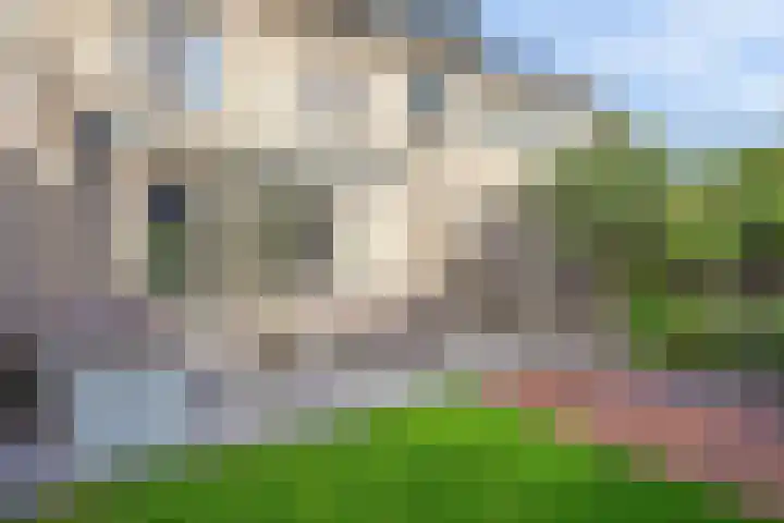 Zeelststraat 8 Tilburg thumbnail 33