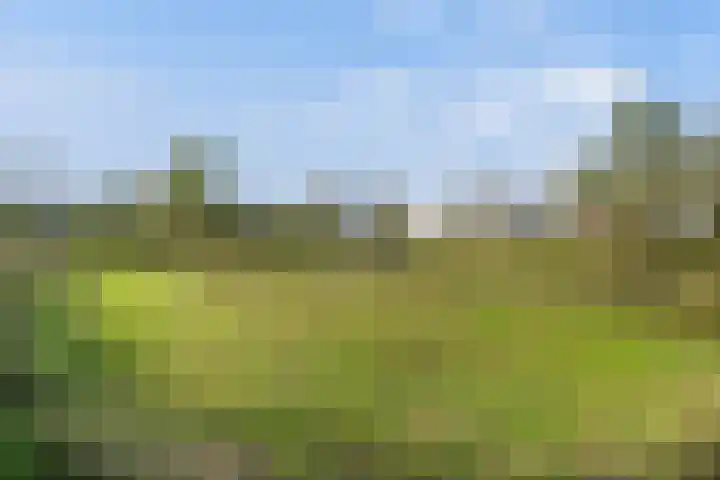 Zeelststraat 8 Tilburg thumbnail 37